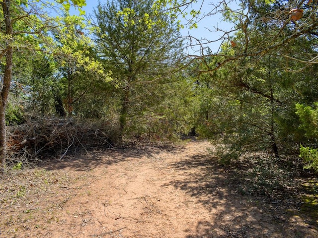 view of landscape with a view of trees