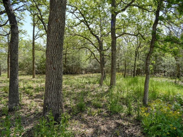 view of landscape with a wooded view