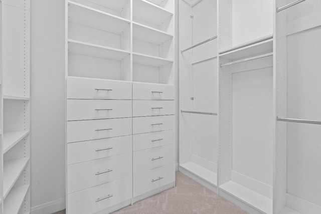 510 Doe Whisper Way, Austin, TX 78738 - walk in closet with light colored carpet