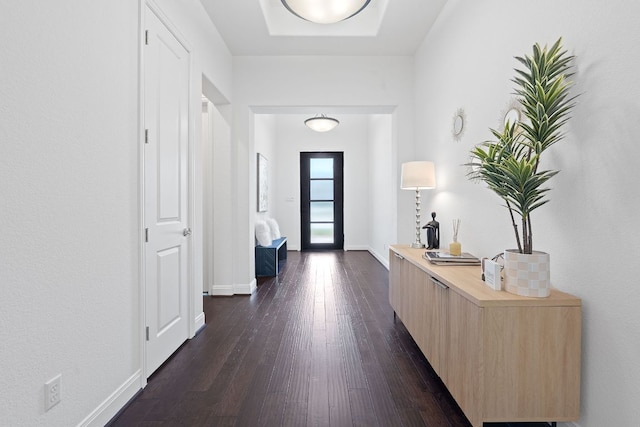 510 Doe Whisper Way, Austin, TX 78738 - foyer with dark wood-style floors and baseboards
