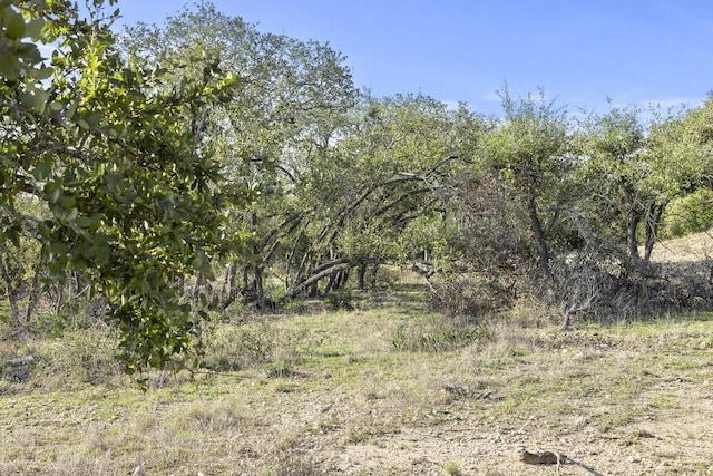 LOT39 Prancing Deer Ln, Johnson City, TX 78636