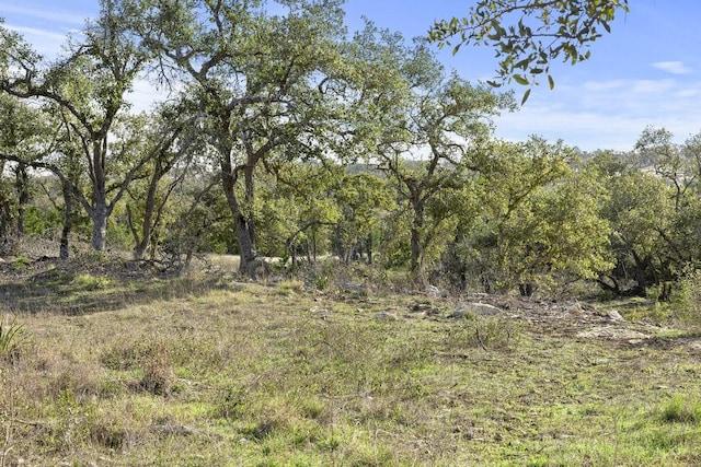 LOT39 Prancing Deer Ln, Johnson City, TX 78636