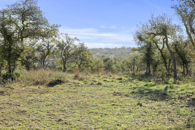 LOT39 Prancing Deer Ln, Johnson City, TX 78636