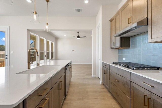 kitchen featuring a sink, light wood-style floors, stainless steel appliances, under cabinet range hood, and visible vents
