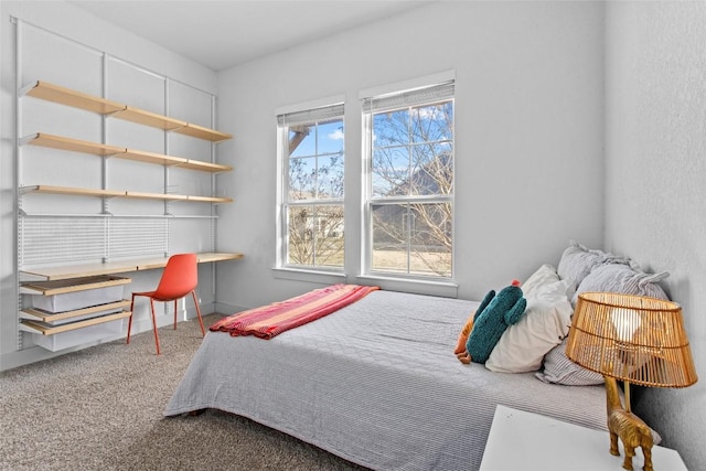 130 Volterra Ln, Dripping Springs, TX 78620 - bedroom featuring carpet and an office area