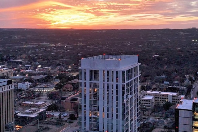 313 W 17th St Unit 1403, Austin, TX 78701 - photo 16