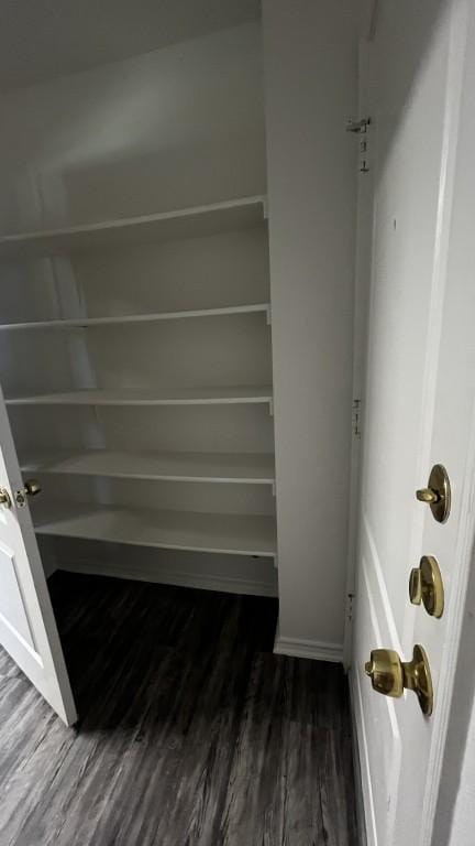 13217 Perconte Dr, Del Valle, TX 78617 - view of closet