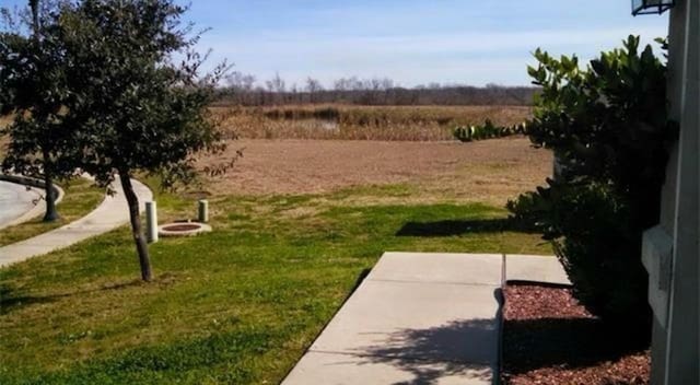 13217 Perconte Dr, Del Valle, TX 78617 - view of green lawn with a rural view