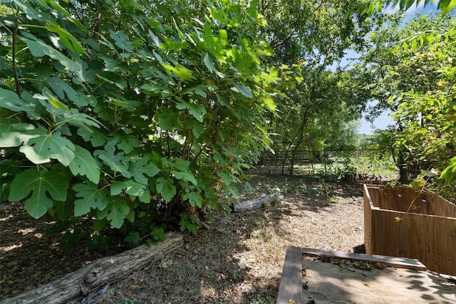1905 Chestnut Ave, Austin, TX 78722 - view of yard