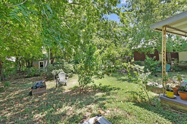 1905 Chestnut Ave, Austin, TX 78722 - view of yard featuring a storage shed