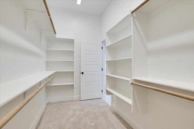 1409 S Brook Dr, Leander, TX 78641 - spacious closet with light colored carpet