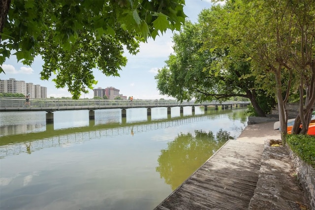 500 E Riverside Dr Unit 224, Austin, TX 78704 - photo 3