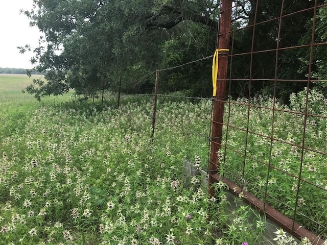 1672TRACT1 Sayers Rd, Bastrop, TX 78602