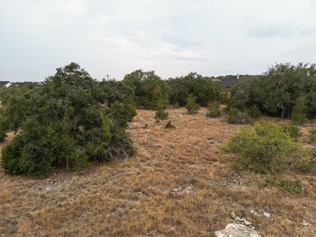 LOT196 Marble Falls Ct, Spicewood, TX 78669