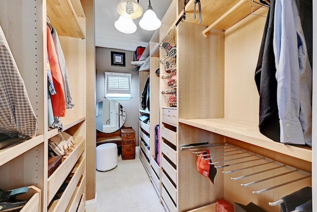 spacious closet featuring carpet floors