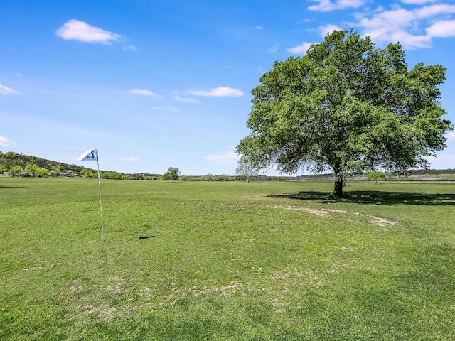 155 Travis Ln, Spicewood, TX 78669 - view of green lawn