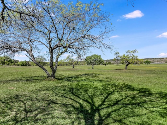155 Travis Ln, Spicewood, TX 78669 - view of green lawn