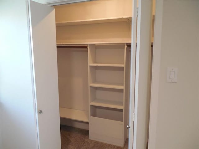 3501 Greystone Dr Unit 3501, Austin, TX 78731 - view of closet