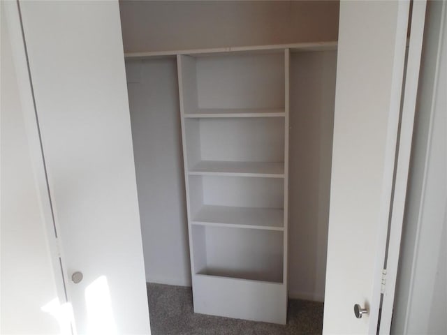 3501 Greystone Dr Unit 3501, Austin, TX 78731 - view of closet