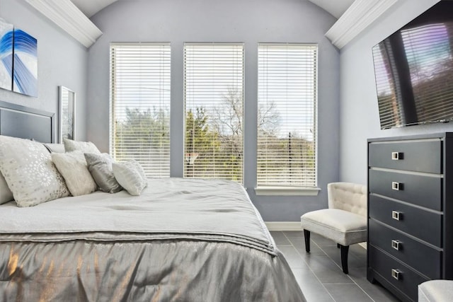 3801 Panther Hall, Leander, TX 78641 - tiled bedroom with vaulted ceiling and multiple windows
