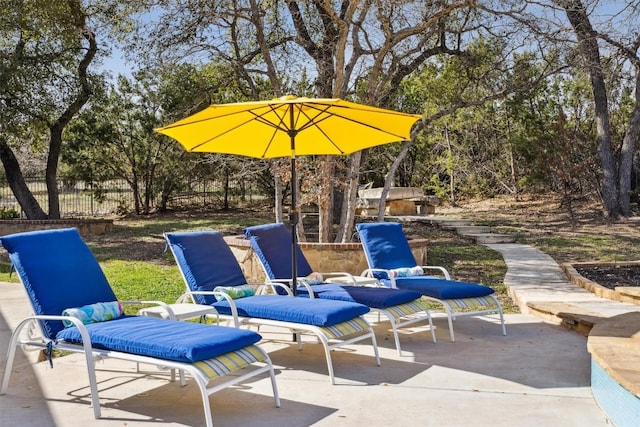 3801 Panther Hall, Leander, TX 78641 - view of patio with view of scattered trees