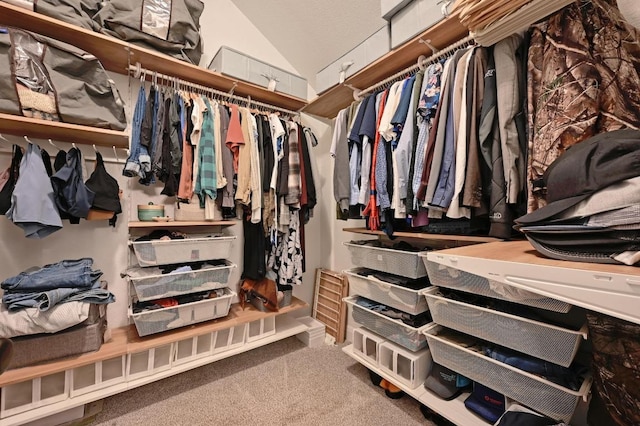 1909 Bobbywoods Ln, Manchaca, TX 78652 - spacious closet featuring carpet floors and lofted ceiling