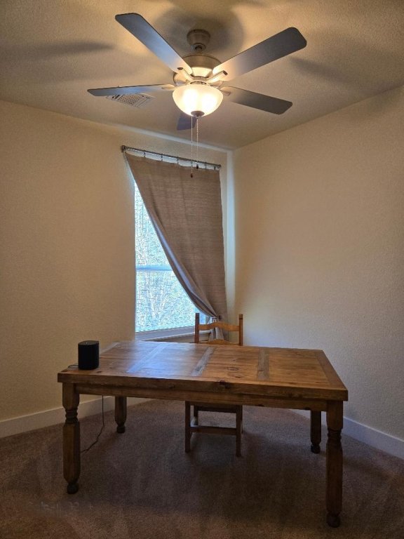 1717 Roseburg Dr, Austin, TX 78754 - unfurnished office with baseboards, carpet, and a ceiling fan