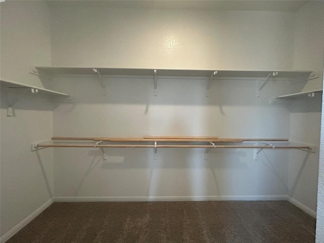 8217 Grenadier Dr, Austin, TX 78738 - walk in closet with carpet flooring