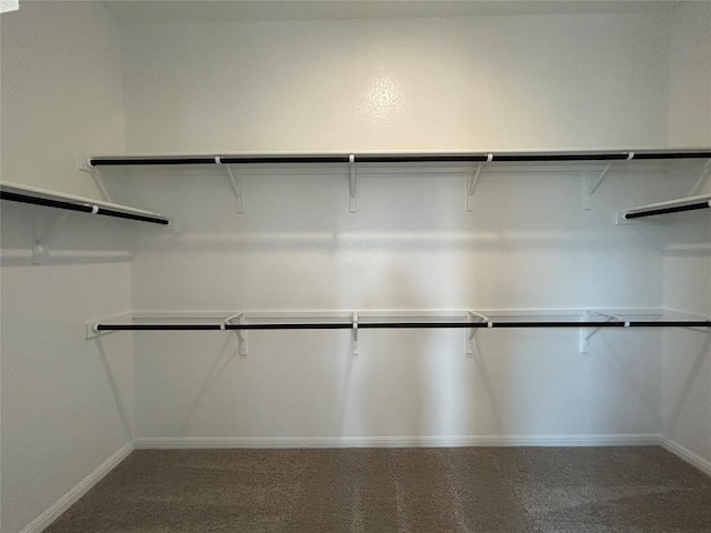 8217 Grenadier Dr, Austin, TX 78738 - walk in closet with carpet floors