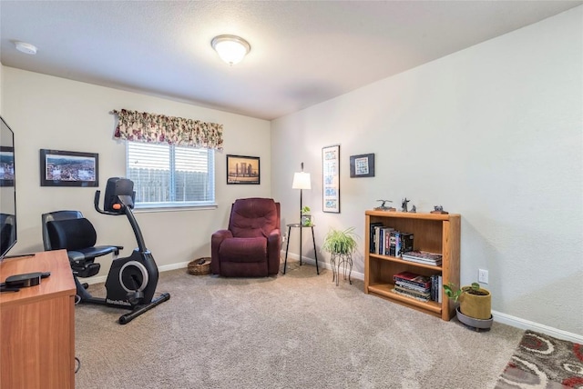 351 Still Hollow Crk, Buda, TX 78610 - office featuring carpet flooring and baseboards