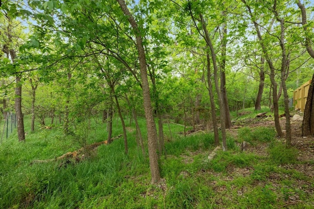 3005 Canter Ln, Austin, TX 78759 - view of wooded area