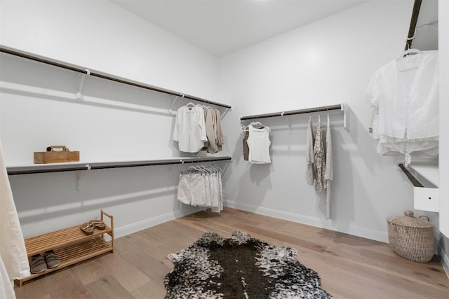 195 Barn Hill Loop, Dripping Springs, TX 78620 - walk in closet with wood finished floors