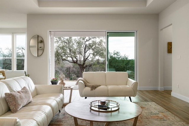 195 Barn Hill Loop, Dripping Springs, TX 78620 - living area featuring wood finished floors, baseboards, and plenty of natural light