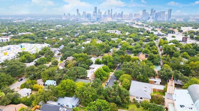 2310 Euclid Ave, Austin, TX 78704 - aerial view of skyline