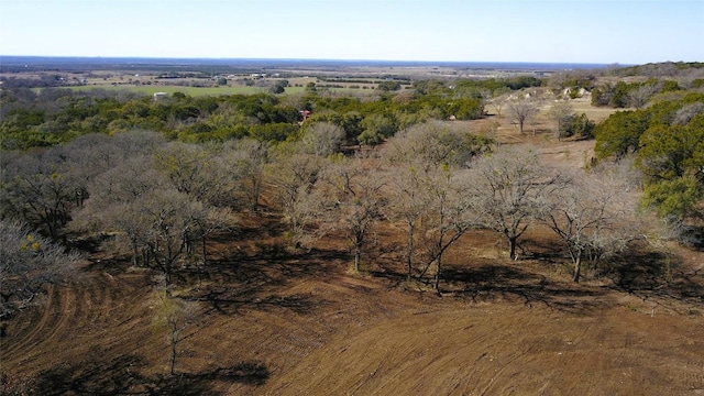 TRACT1 Fm 2955, Gatesville, TX 76528 - photo 2