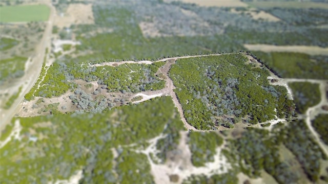 TRACT1 Fm 2955, Gatesville, TX 76528 - photo 3