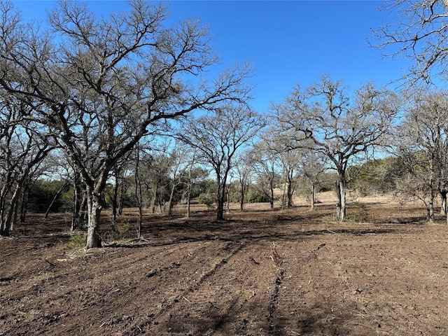 TRACT1 Fm 2955, Gatesville, TX 76528 - photo 1