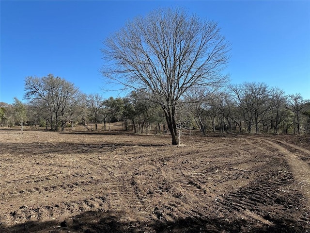TRACT1 Fm 2955, Gatesville, TX 76528 - photo 6