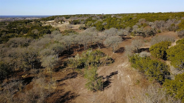 TRACT1 Fm 2955, Gatesville, TX 76528 - photo 9