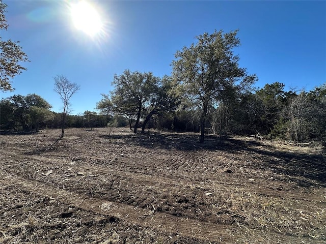TRACT1 Fm 2955, Gatesville, TX 76528 - photo 13