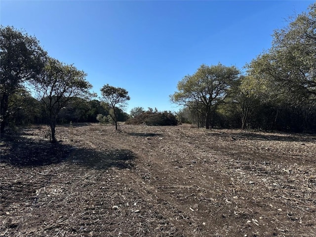 TRACT1 Fm 2955, Gatesville, TX 76528 - photo 14