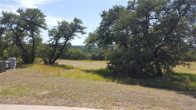 201 Hidden Hills Cv, Spicewood, TX 78669 - photo 3