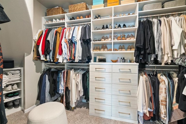 spacious closet featuring carpet flooring