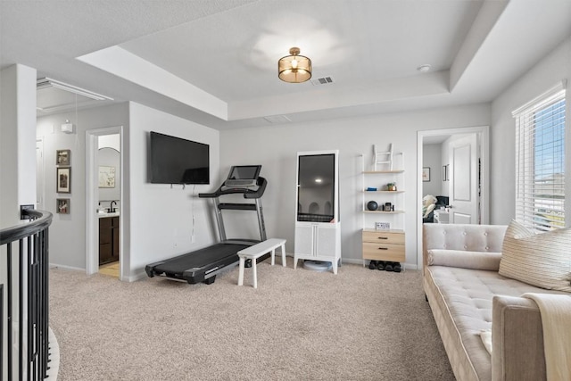 5833 Bianca Dr, Round Rock, TX 78665 - workout room with a tray ceiling, attic access, and carpet floors