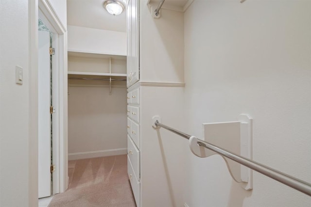 204 Orion Rd, Georgetown, TX 78633 - photo 23