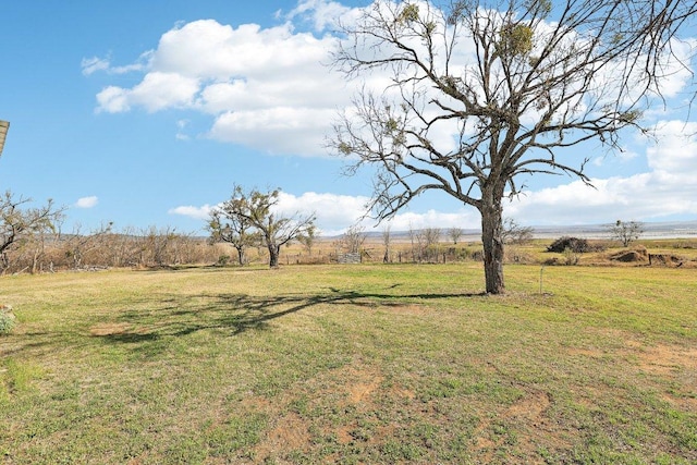 131 Blue Bird Ln, Tow, TX 78672 - photo 27