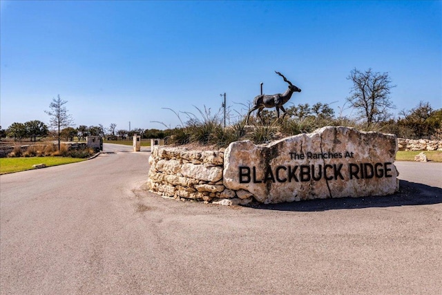 306 Blackbuck Ridge Dr, Lampasas, TX 76550 - photo 22