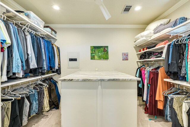 3012 Driftwood Ln, Horseshoe Bay, TX 78657 - spacious closet with light colored carpet