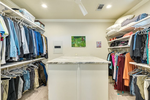 3012 Driftwood Ln, Horseshoe Bay, TX 78657 - spacious closet with light colored carpet and electric panel