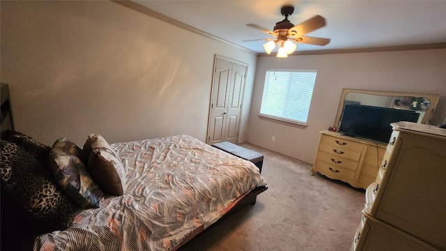 1149 State Highway 21 W Unit A, Cedar Creek, TX 78612 - photo 10